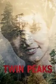 پوستر Twin Peaks، توئین پیکس محصول 1990
