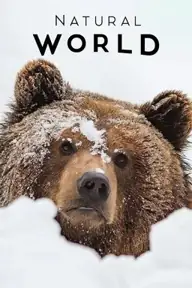 پوستر France: The Wild Side، فرانسه: بخش وحشی محصول 2014