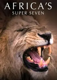 پوستر Africa's Super Seven محصول 2005